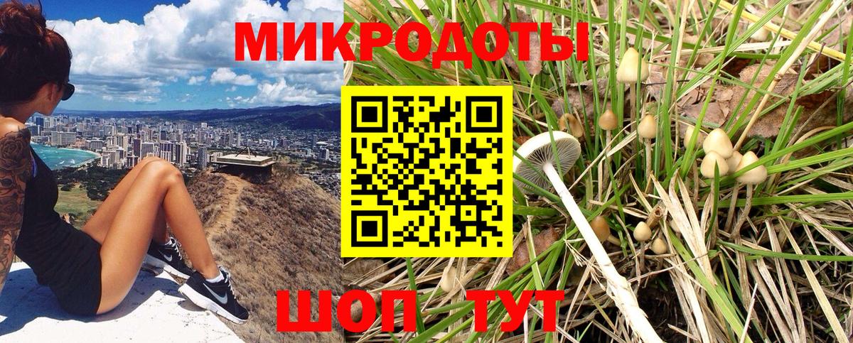 Псилоцибиновые грибы Magic Shrooms  Вход с VPN  Галлюциногенные грибы мицелий  Мценск 
