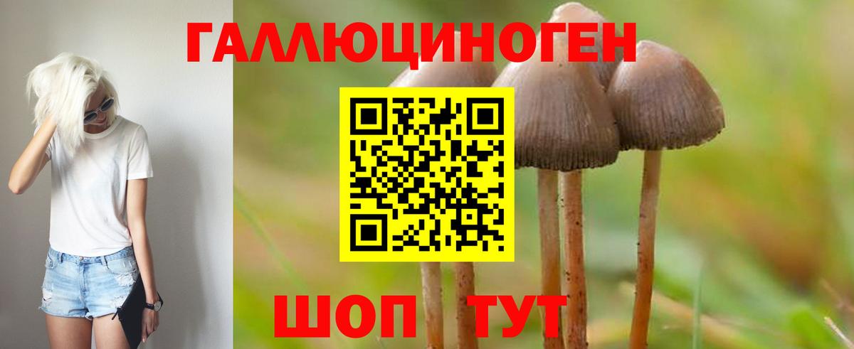 Псилоцибиновые грибы GOLDEN TEACHER Мценск
